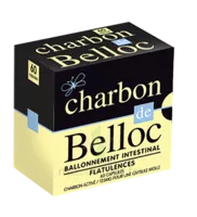 Charbon De Belloc 125 Mg Caps Molle B/60 à Talence